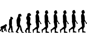 darvini teaoria e evolucionit