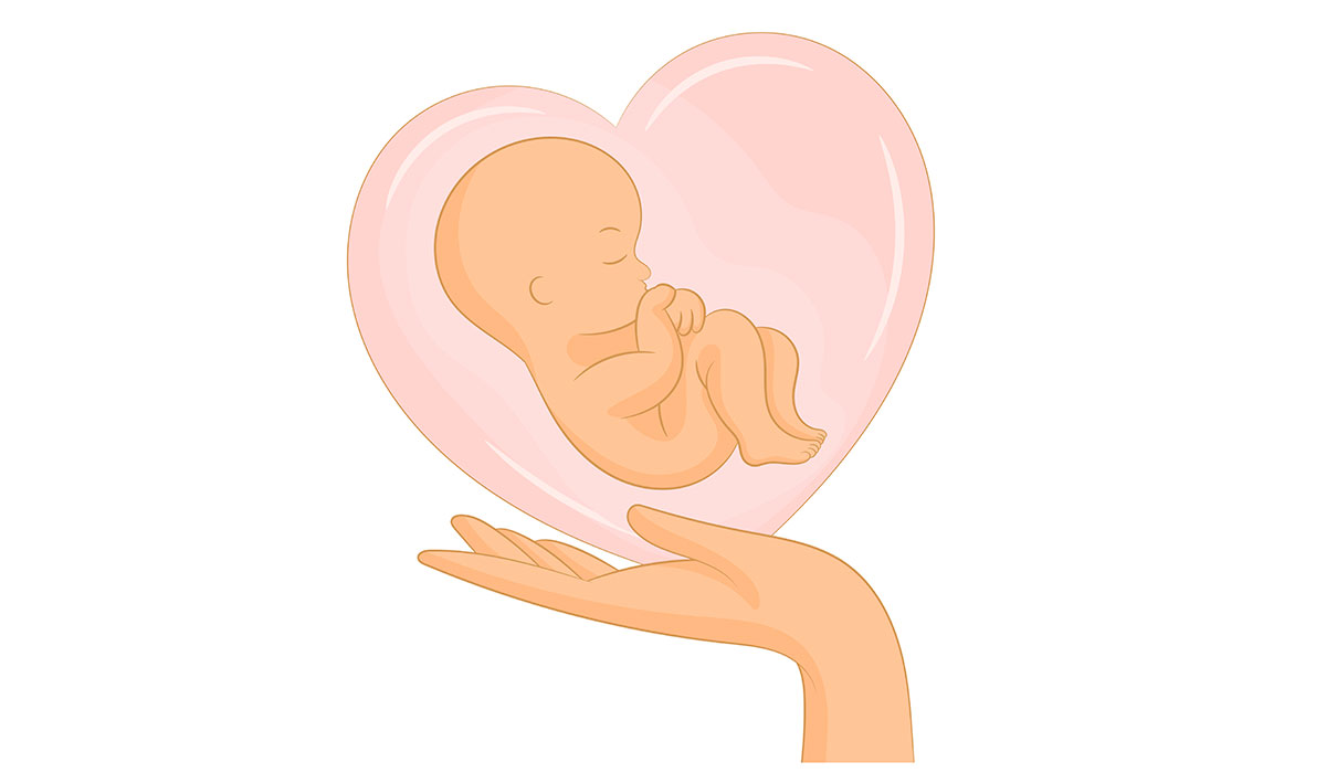 surrogacia lindja e femijes nene surrogate