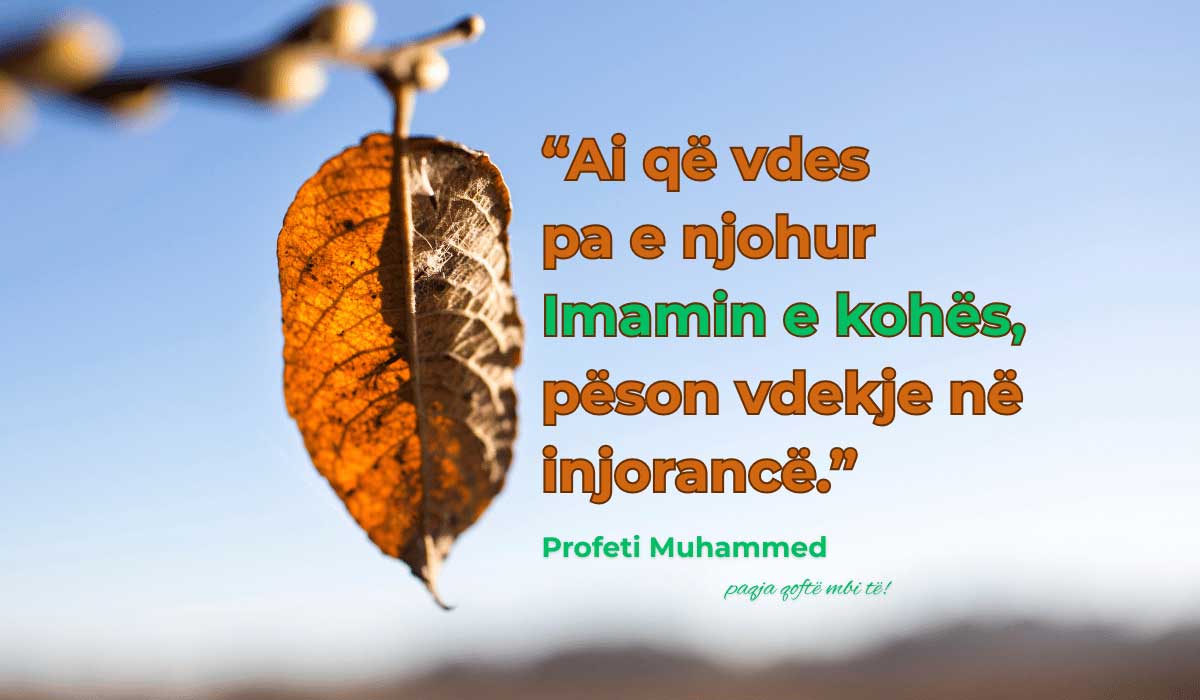 imam mehdiu imami i kohes