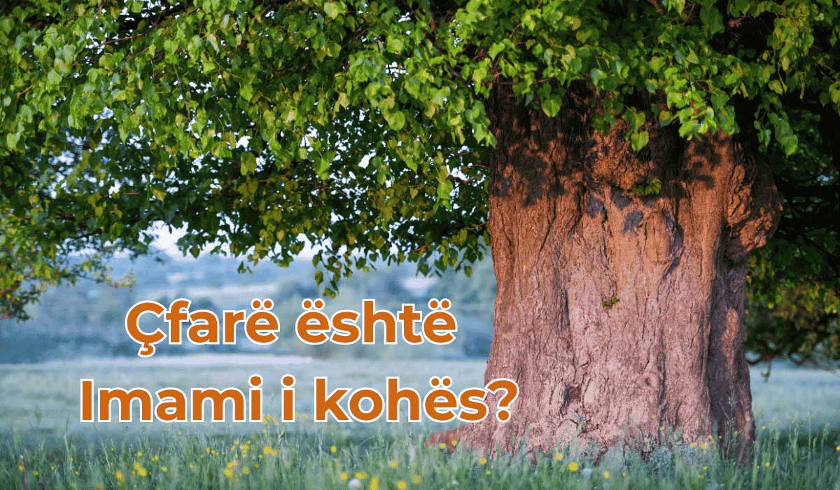 imam mehdiu mediu imam i kohes