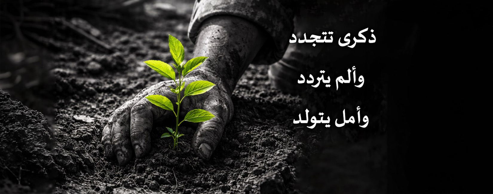 عرض موجز عدد يونيو 2026