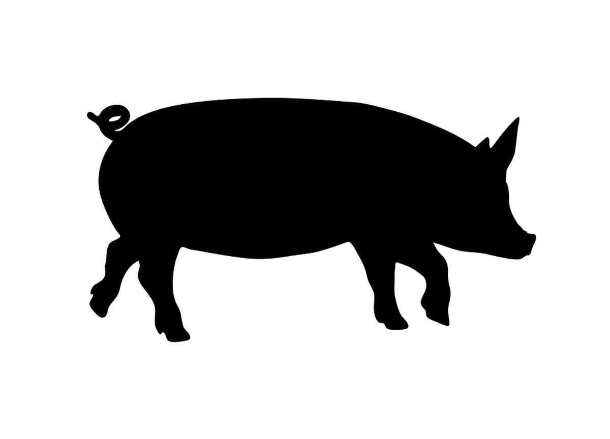 Zabrana svinjskog mesa