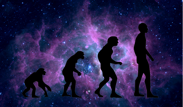 Evolucija in sveti spisi